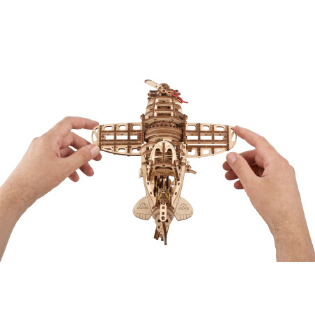 Mad Hornet Airplane model kit