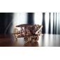 Mini-Biplane mechanical model kit