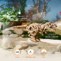 Tyrannosaurus Rex model kit