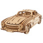 Winged Sports Coupe model kit Winged Sports Coupe model kit