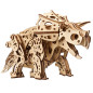 Triceratops model kit Triceratops model kit