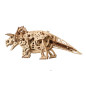Triceratops model kit Triceratops model kit