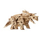 Triceratops model kit Triceratops model kit