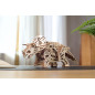 Triceratops model kit Triceratops model kit