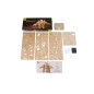 Stegosaurus mechanical model kit