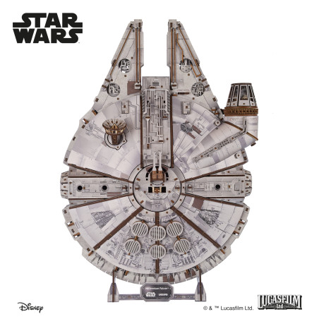 Millennium Falcon™