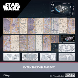 Millennium Falcon™