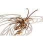 Butterfly - Mechanical 3D Puzzle Butterfly - Mechanical 3D Puzzle