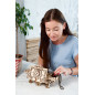 Antique Box - Mechanical 3D Puzzle